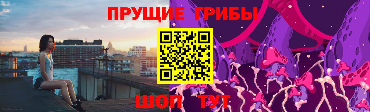 Каменка  купить закладку  Вход с VPN  Псилоцибиновые грибы GOLDEN TEACHER 